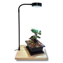 Load image into Gallery viewer, Grow Light with Bamboo Stand 5W LED