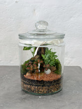 Load image into Gallery viewer, PERU | Enclosed Glass Terrarium