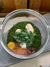 Load image into Gallery viewer, PERU | Enclosed Glass Terrarium