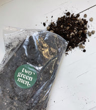 Load image into Gallery viewer, CHUNKY Potting Mix | Indoor & Tropical