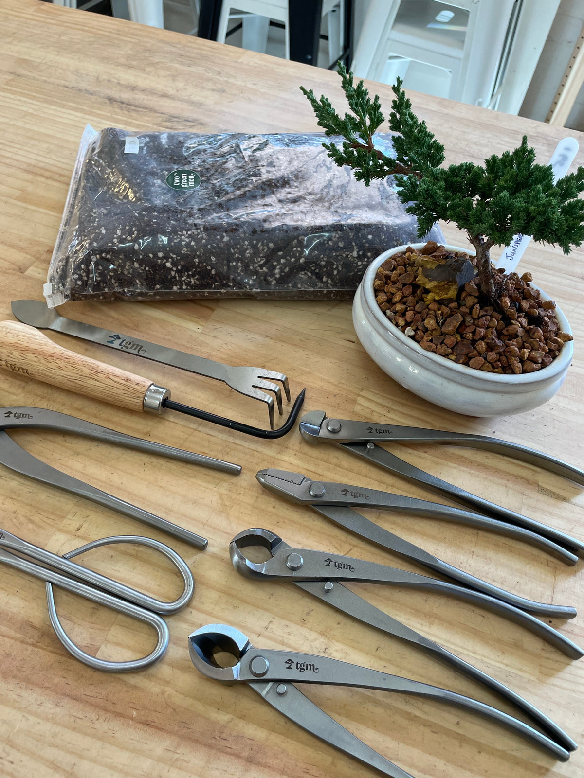 Guide to Bonsai Tools