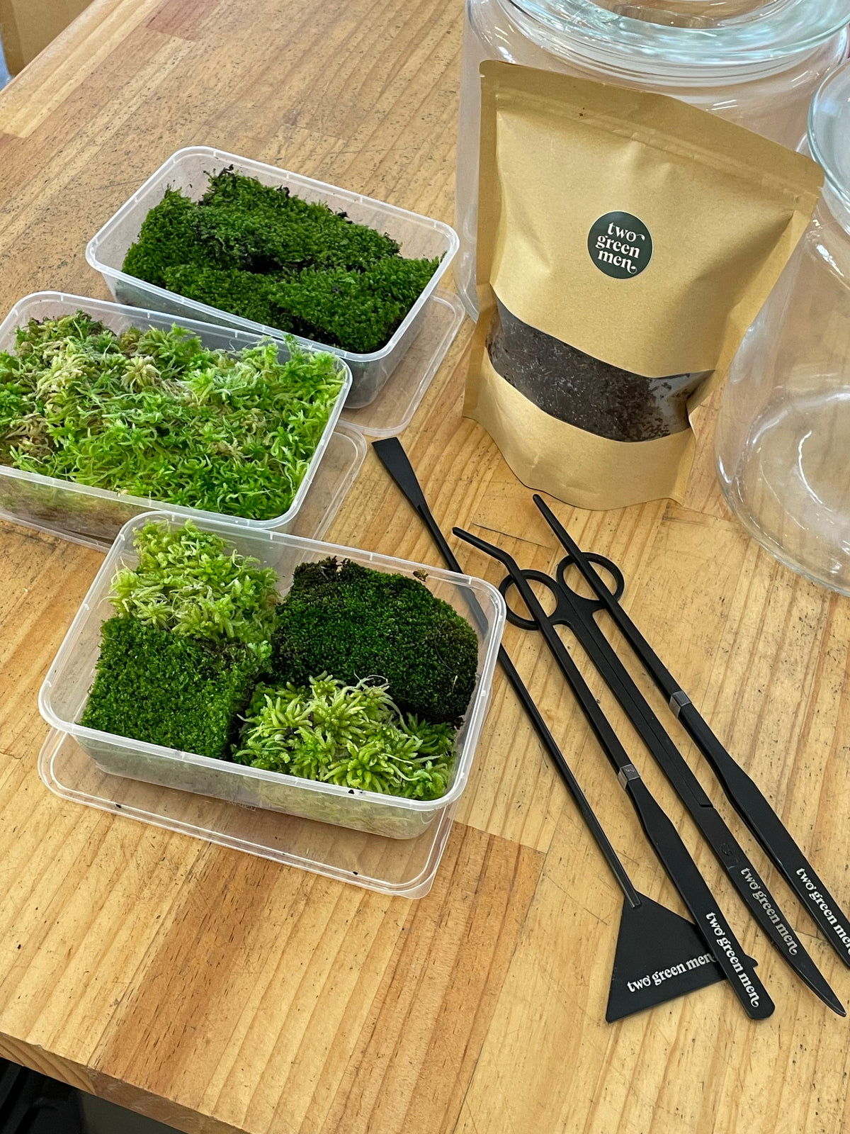 Terrarium Supplies and Glassware