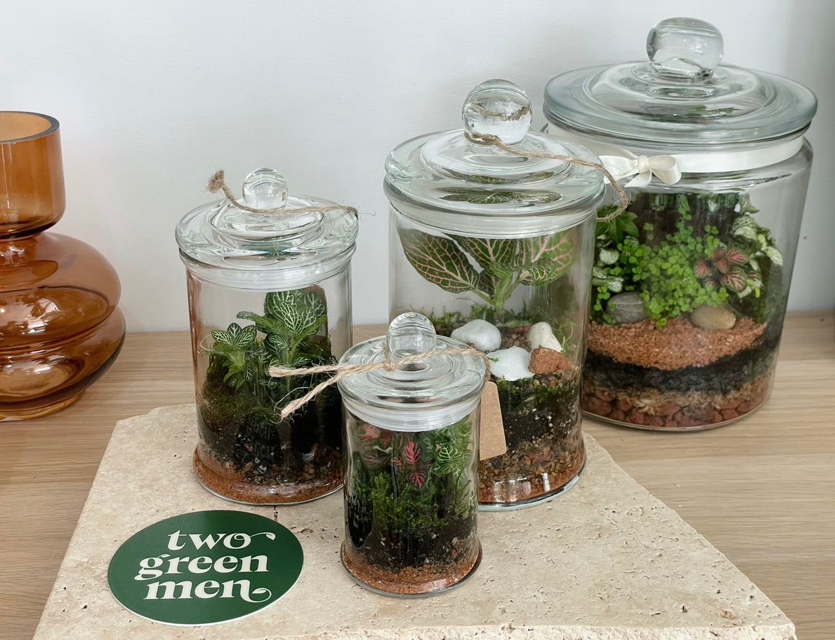 Terrariums