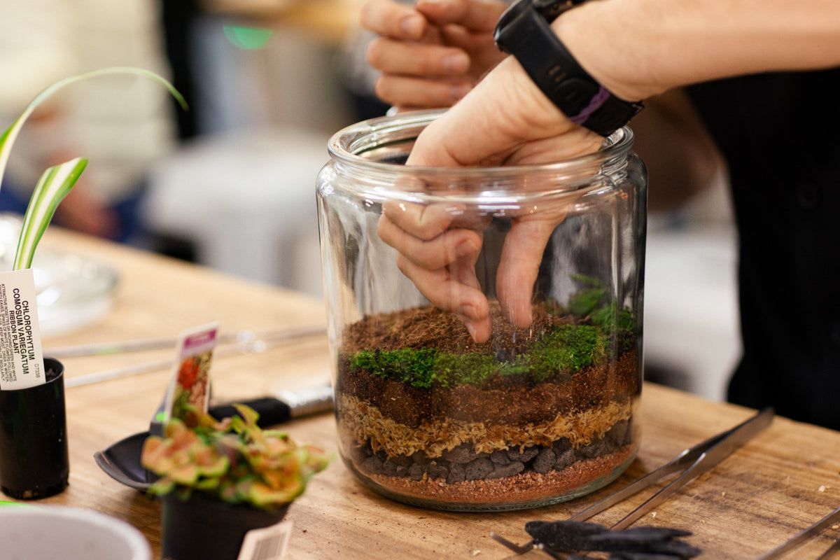 Hands planting a glass terrarium with layers of soil and moss