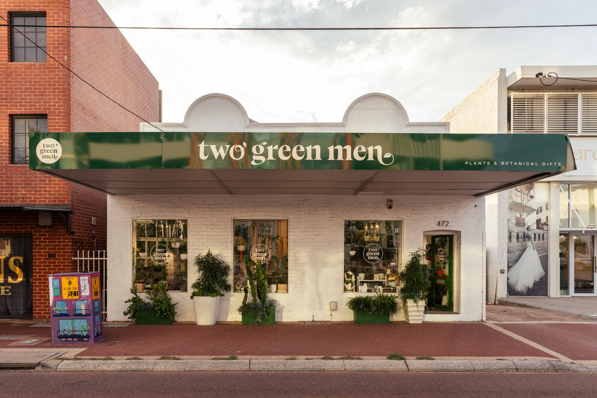 The Two Green Men storefront on Fitzgerald Street in North Perth