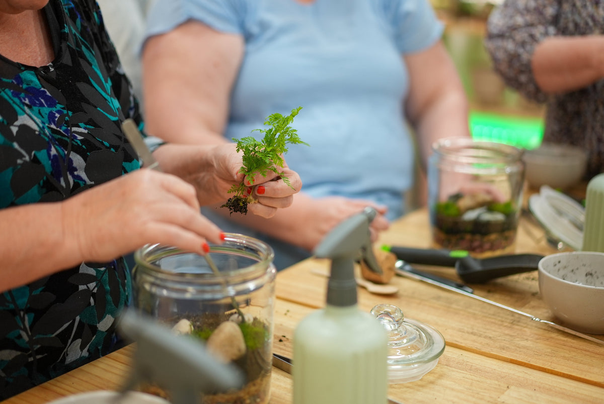 TERRARIUM WORKSHOP // Beginner-Intermediate Class // North Perth