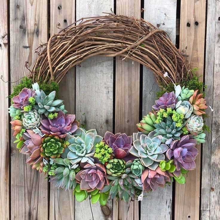 SUCCULENT WREATH // CHRISTMAS WORKSHOP // BEGINNER