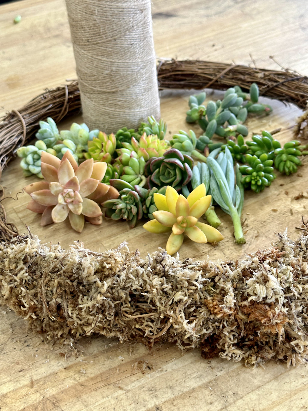 SUCCULENT WREATH // CHRISTMAS WORKSHOP // BEGINNER