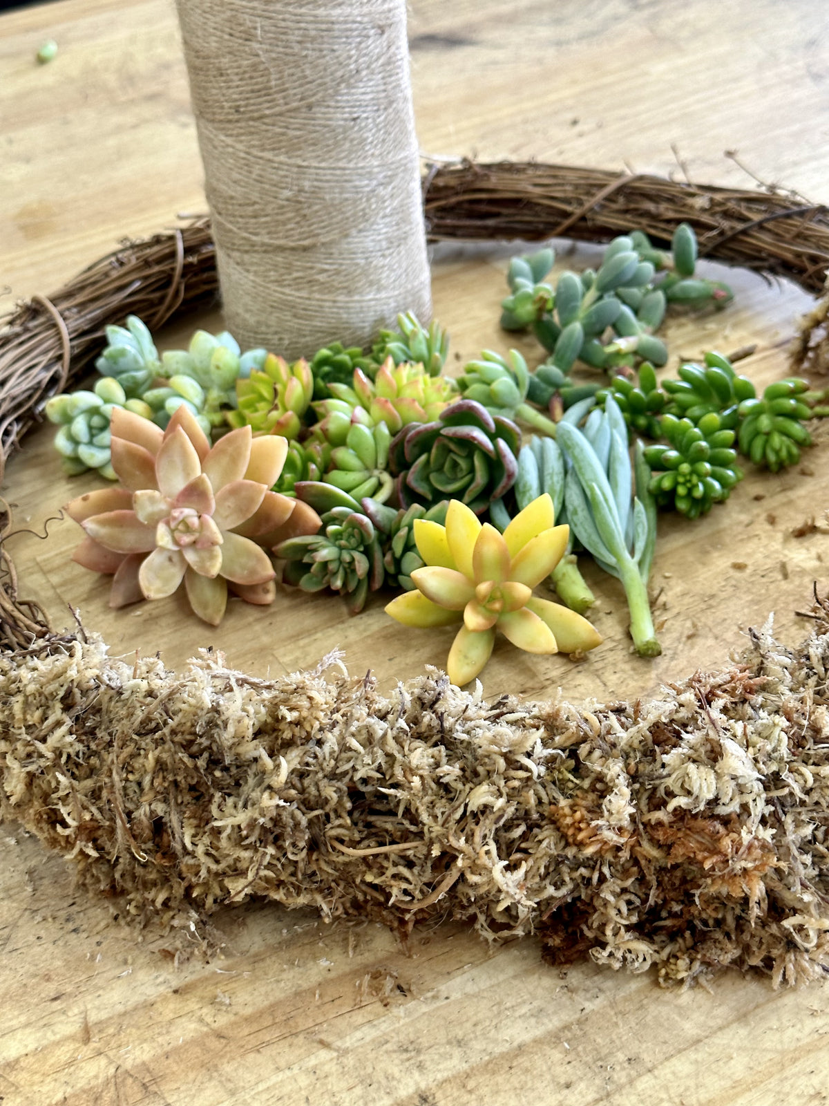 SUCCULENT WREATH // CHRISTMAS WORKSHOP // BEGINNER