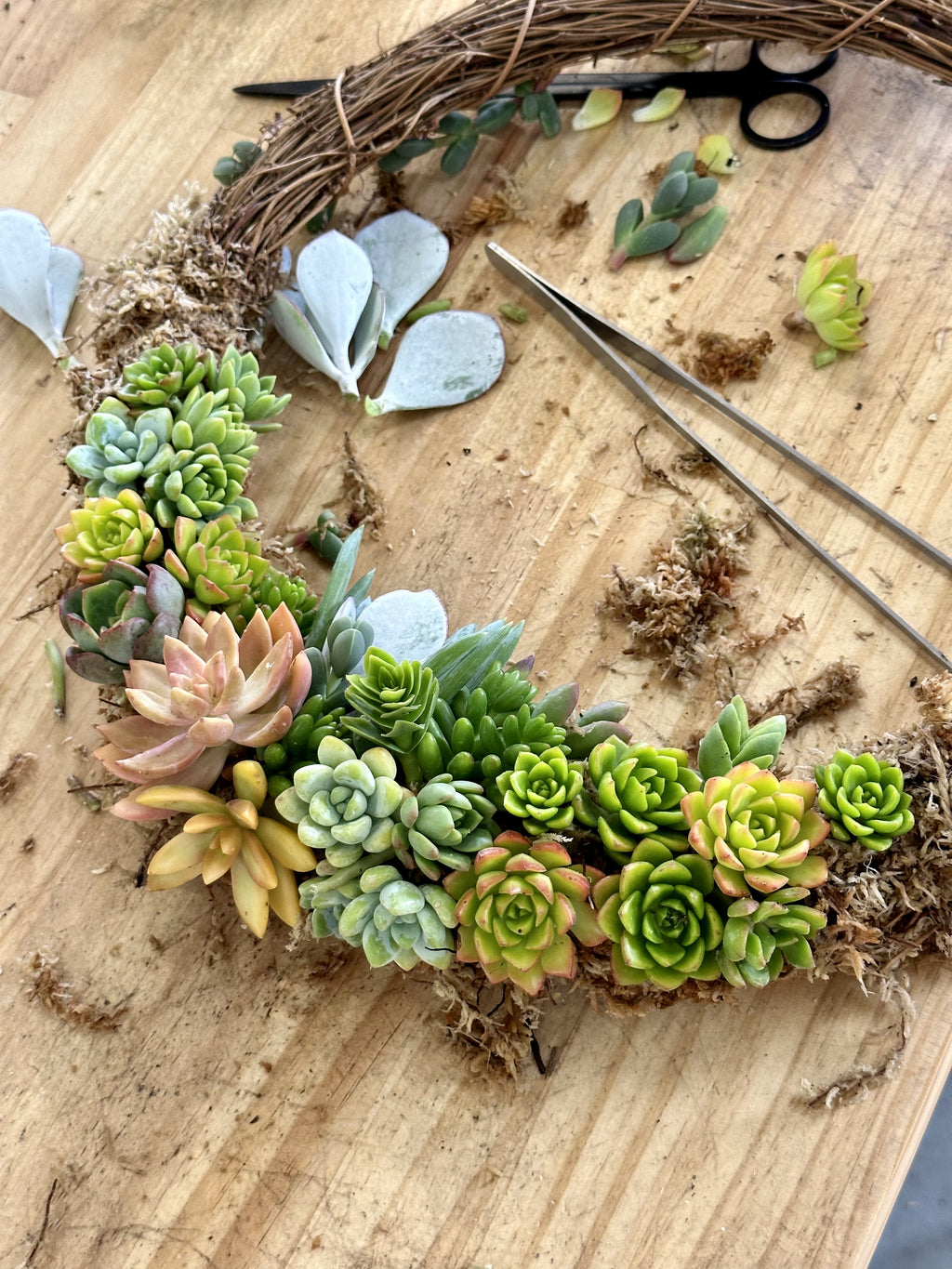 SUCCULENT WREATH // CHRISTMAS WORKSHOP // BEGINNER