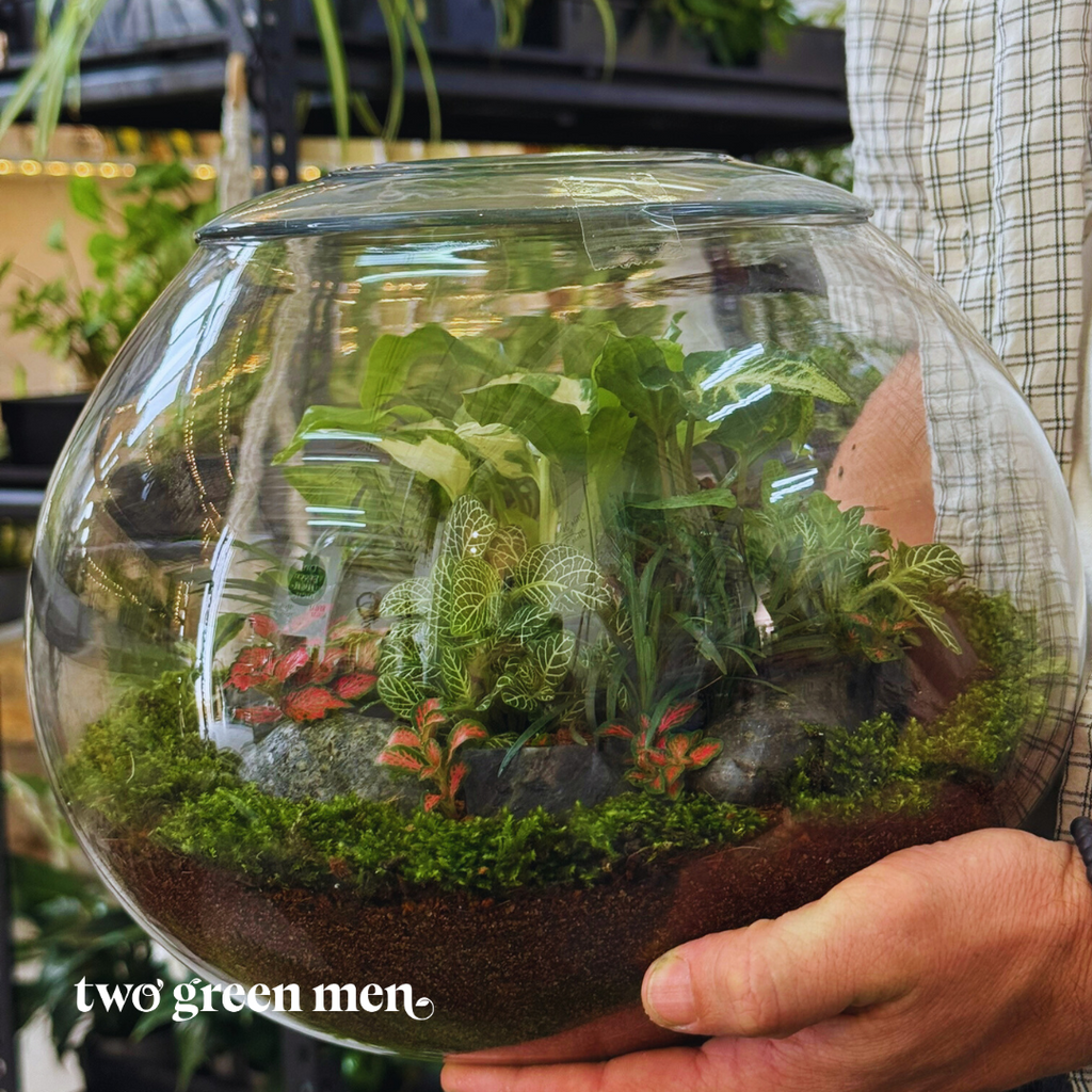 THE FISH BOWL // Terrarium Workshop // BEGINNER-FRIENDLY