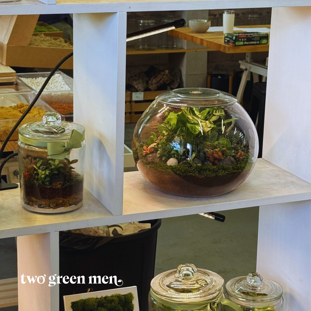 THE FISH BOWL // Terrarium Workshop // BEGINNER-FRIENDLY