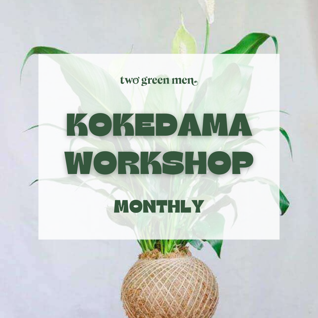 KOKEDAMAS // Mindful Workshop Experience // BEGINNER-FRIENDLY