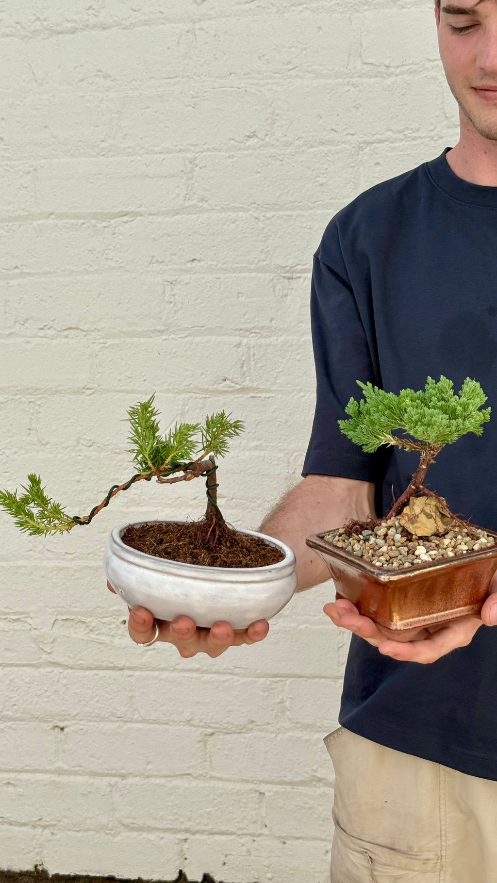 BONSAI FOR BEGINNERS // Beginner Friendly Starter Class // PERTH WORKSHOP