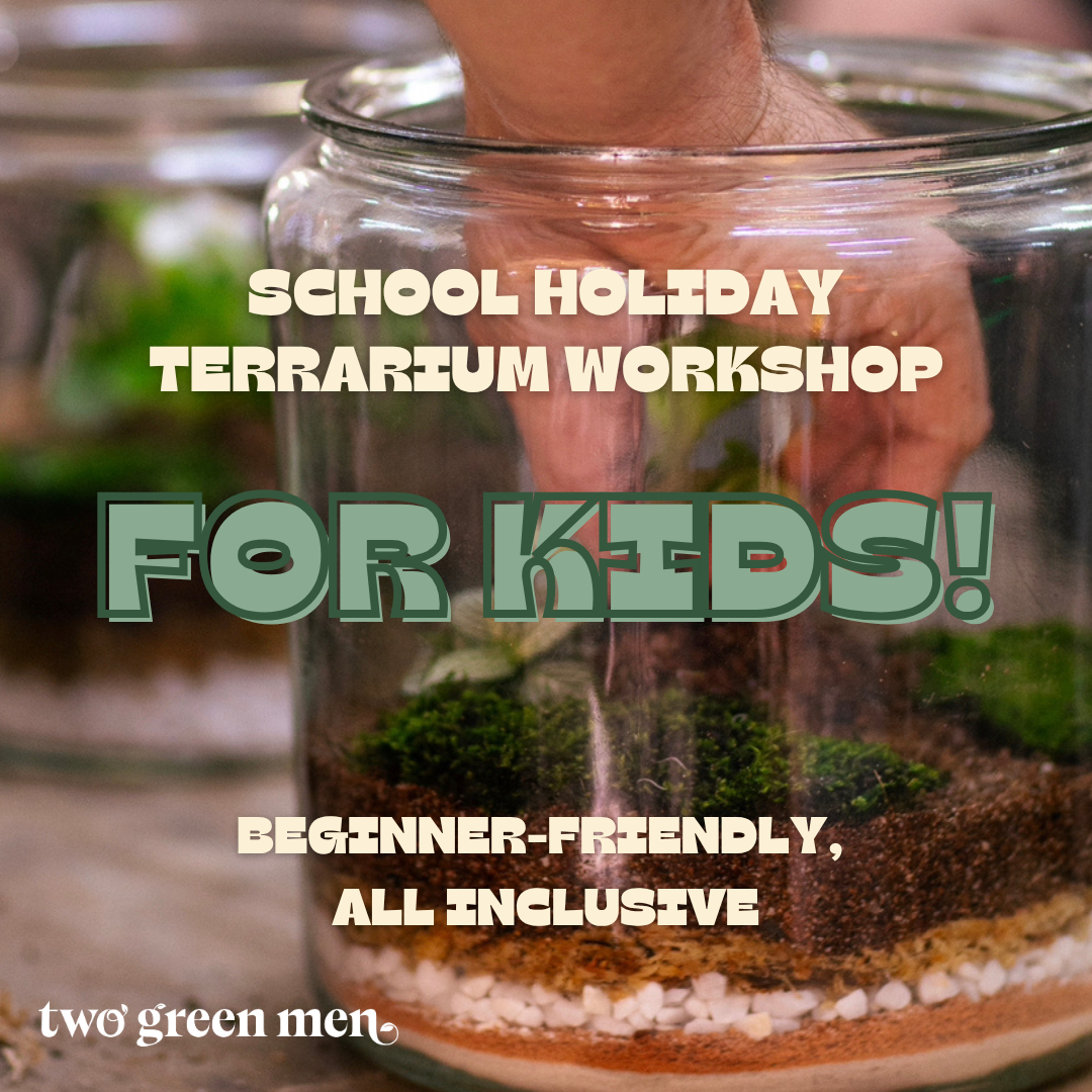 KIDS' TERRARIUM WORKSHOP // PERTH SCHOOL HOLIDAYS // BEGINNER-FRIENDLY
