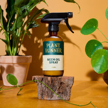 Load image into Gallery viewer, Neem Oil Leaf Shine
