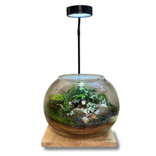 Load image into Gallery viewer, Grow Light with Bamboo Stand 5W LED
