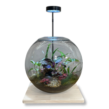 Load image into Gallery viewer, Grow Light with Bamboo Stand 9W LED
