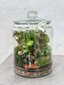 VALDIVIA | Deluxe Enclosed Terrarium