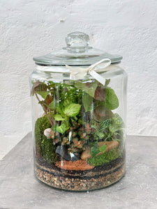 VALDIVIA | Deluxe Enclosed Terrarium