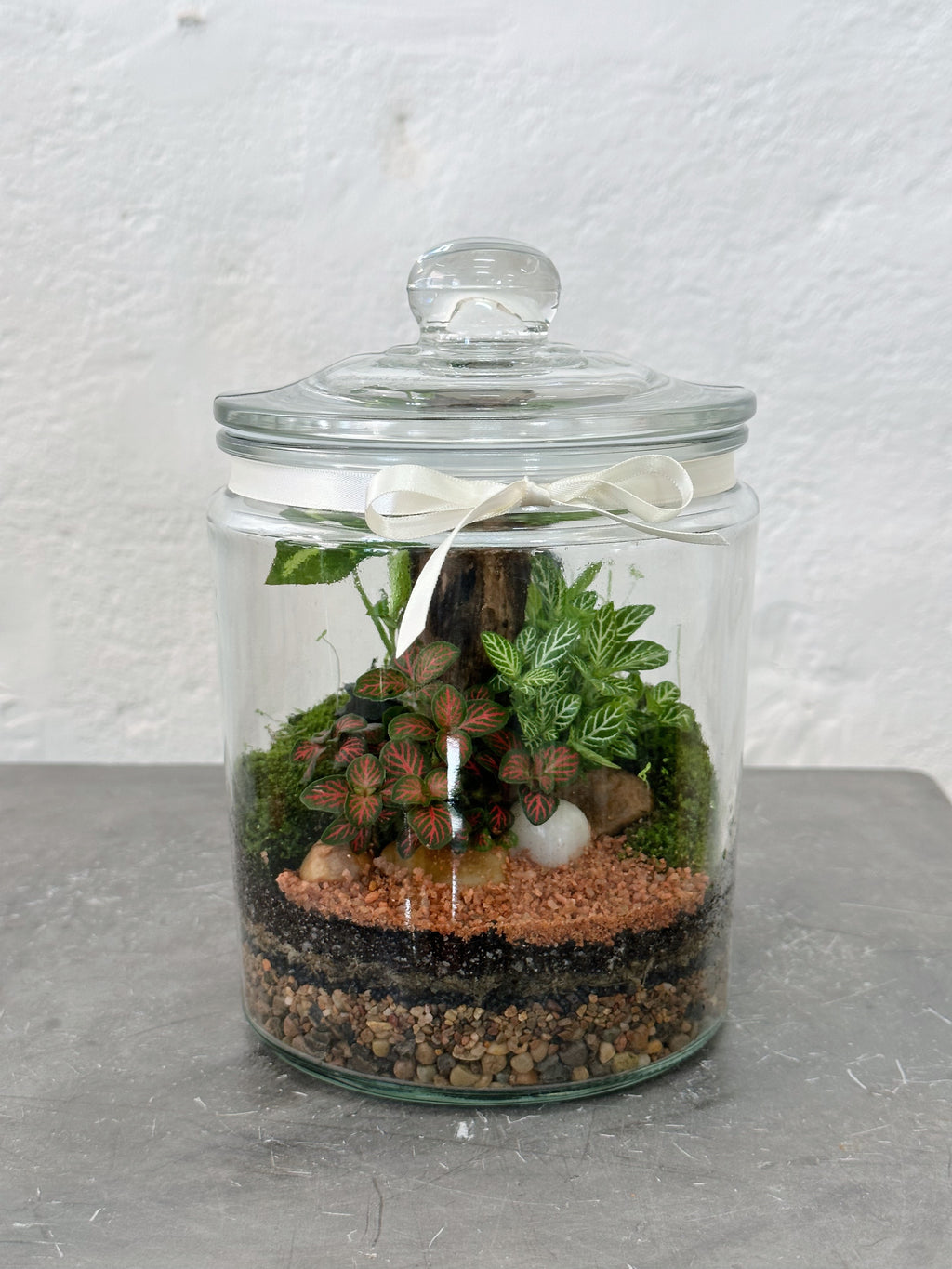 PERU | Enclosed Glass Terrarium