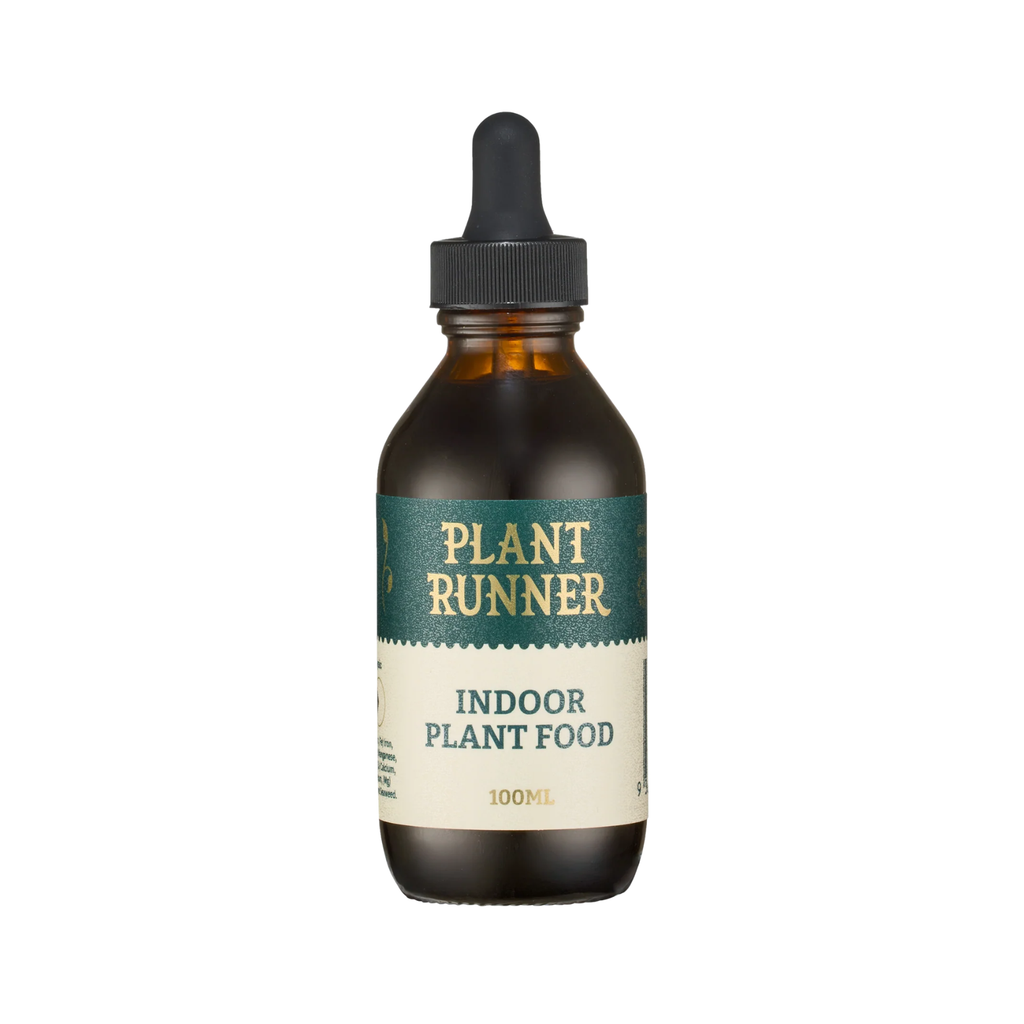 Indoor Plant Food - Plant Runner