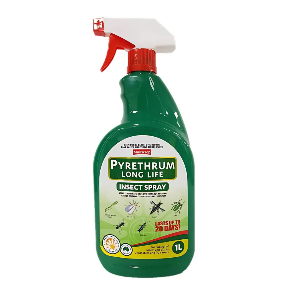 Pyrethrum Long Life Natural Insect Spray