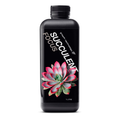 Succulent Focus 1L
