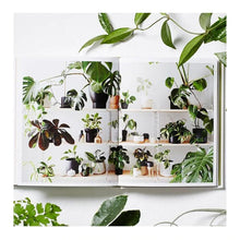 Load image into Gallery viewer, Plant Style | Alana Langan &amp; Jacqui Vidal
