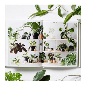 Plant Style | Alana Langan & Jacqui Vidal