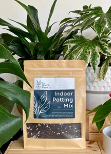 Home Plant Co Indoor Potting Mix- 3L