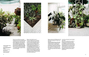 Indoor Green Living with Plants