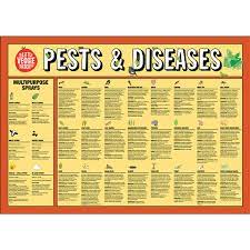 The Little Veggie Patch Co - Pests and Disease Help Chart