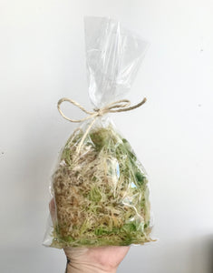 Live Sphagnum Moss | 200g