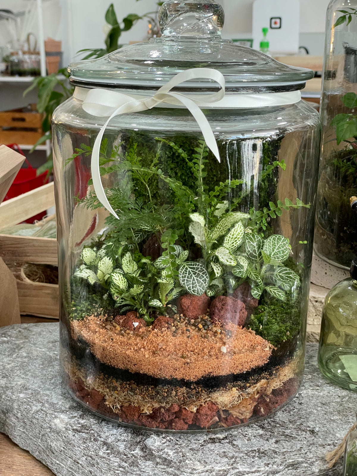 VALDIVIA | Deluxe Enclosed Terrarium