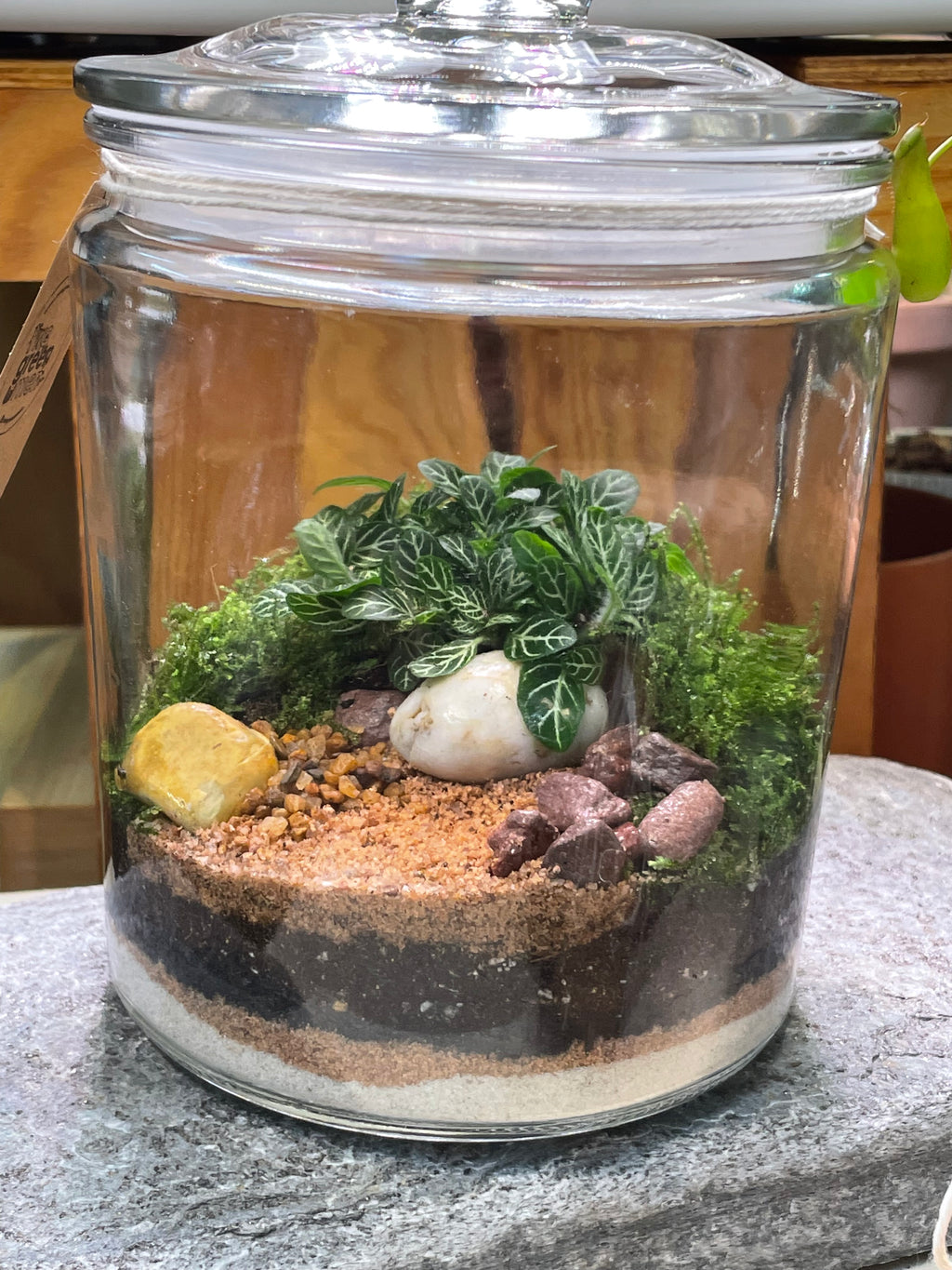 PERU | Enclosed Glass Terrarium