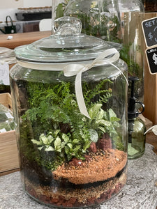 VALDIVIA | Deluxe Enclosed Terrarium