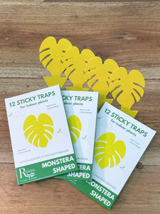 MONSTERA Sticky Traps [12 Pack]
