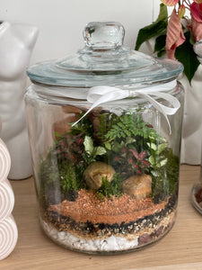 PEDRO | Enclosed Glass Terrarium