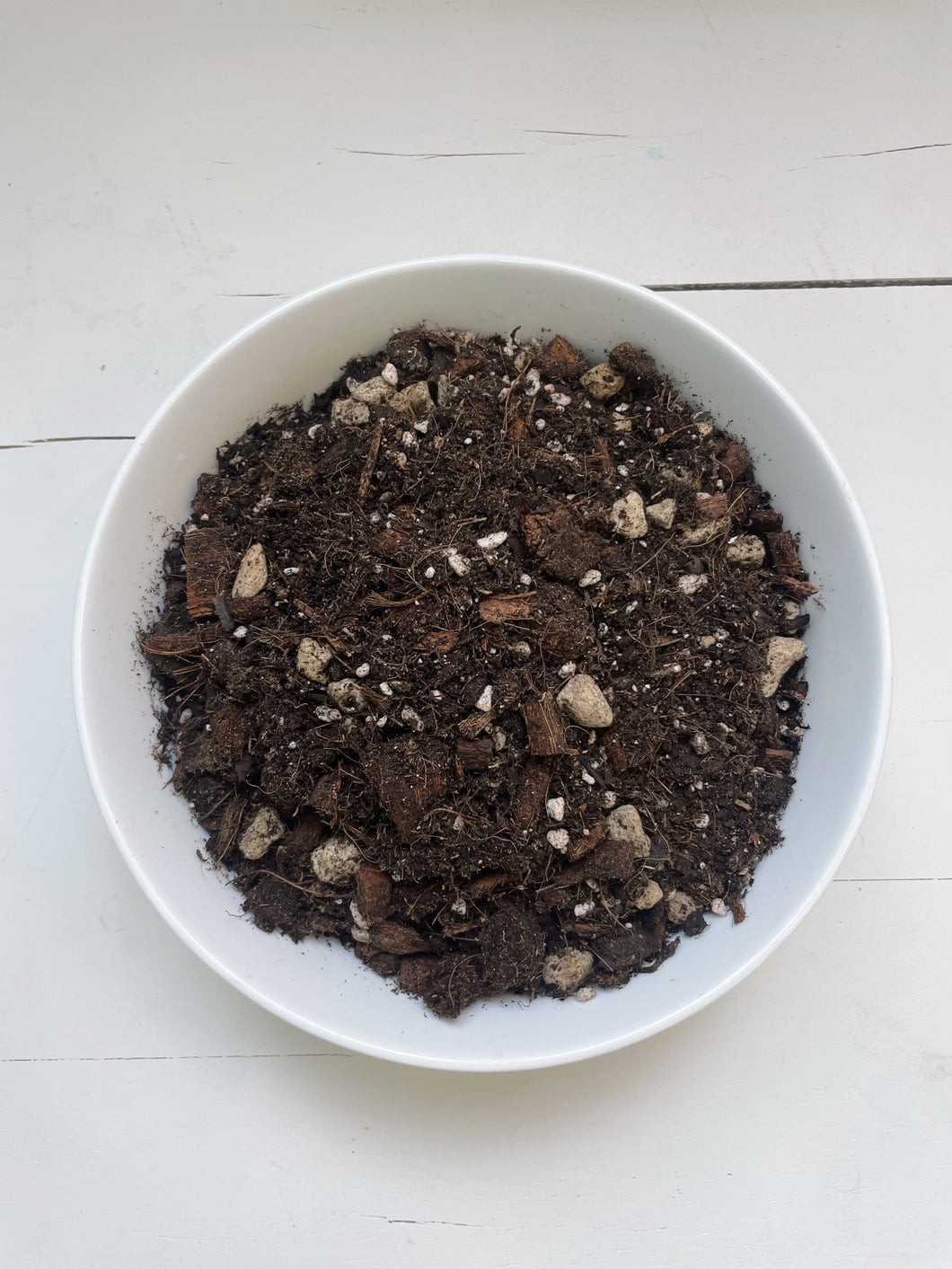 CHUNKY Potting Mix | Indoor & Tropical