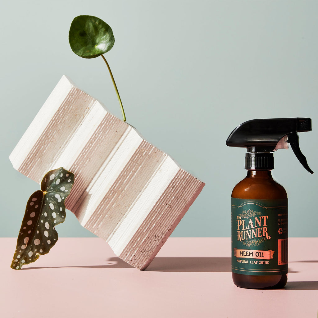 Neem Oil - Plant Runner