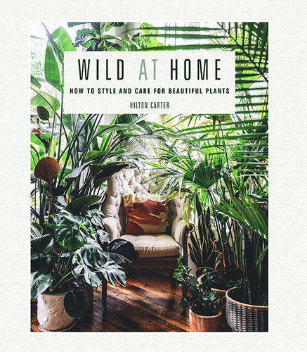 Wild At Home - How to style and care for beautiful plants